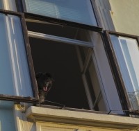 Árnyékolók tetőtéri ablakokra