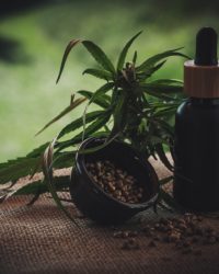 Útmutató a CBD olaj rendeléshez